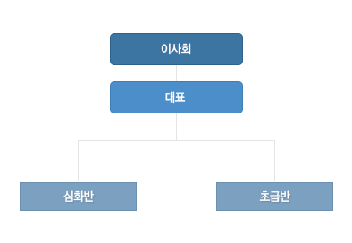 조직도 : 이사회->대표->심화반, 초급반
